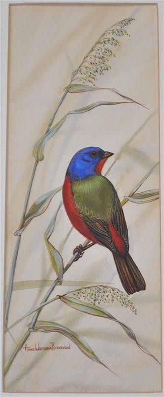 Appraisal: ORIGINAL GOUACHE ANNE WORSHAM RICHARDSON PAINTED BUNTING Original Anne Worsham