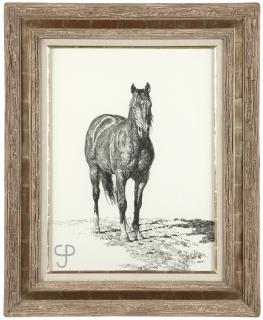 Appraisal: Bill Owen Standing horse signed with copyright symbol and dated