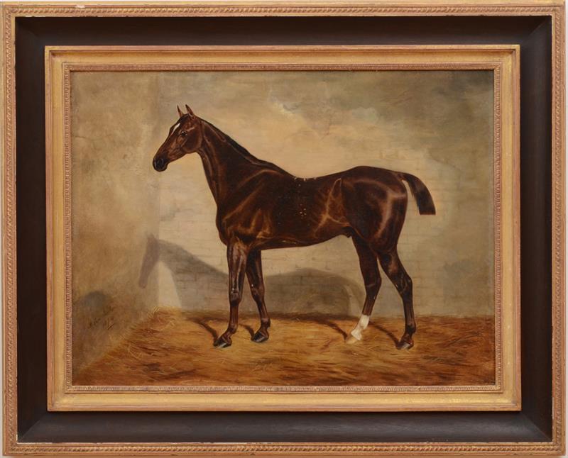 Appraisal: BENJAMIN CAM NORTON - A BAY RACEHORSE IN LOOSE BOX