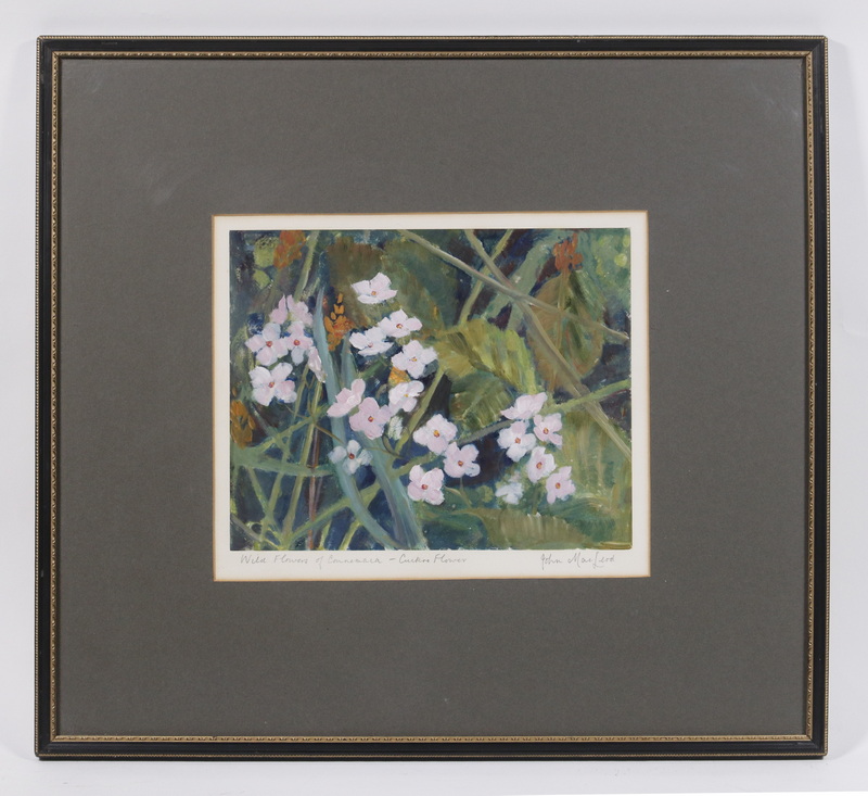 Appraisal: FLORAL PAINTING BY JOHN MACLEOD TH C Wild Flowers of