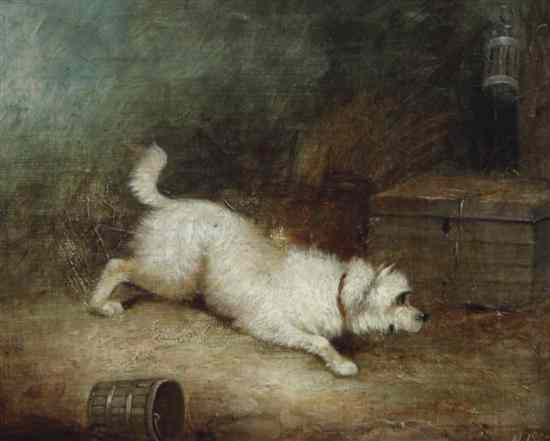 Appraisal: Thomas Holdenborough after George Armfield oil on canvas White terrier