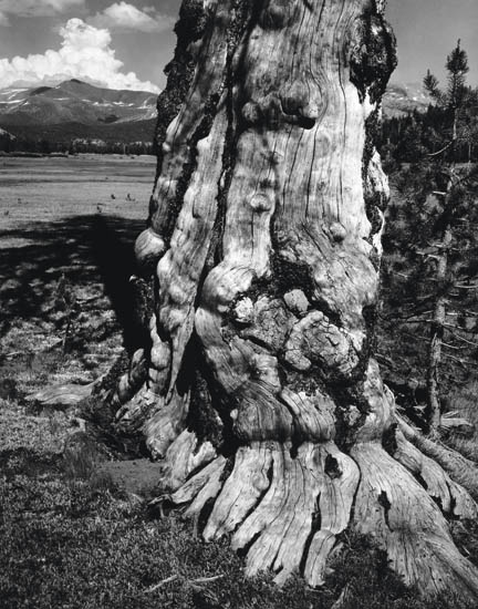 Appraisal: ADAMS ANSEL - Tuolumne Meadows Yosemite National Park California Silver