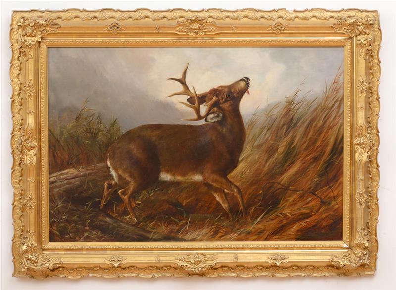 Appraisal: ARTHUR FITZWILLIAM TAIT - WOUNDED STAG Oil on canvas signed