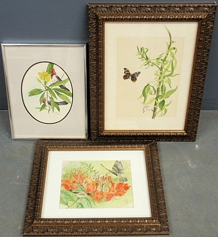 Appraisal: - Three framed and matted watercolor paintings of birds flowers