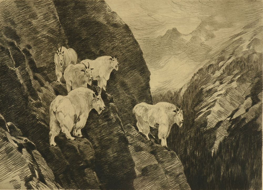 Appraisal: CARL CLEMENS MORITZ RUNGIUS German American - A PRINT Goats