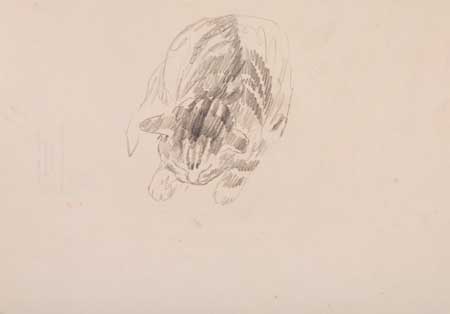 Appraisal: PEGGY BACON Study of a Striped Kitten Pencil on cream