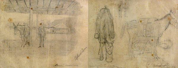 Appraisal: Edward Borein American - Sketches of Horses Cofradilla each signed