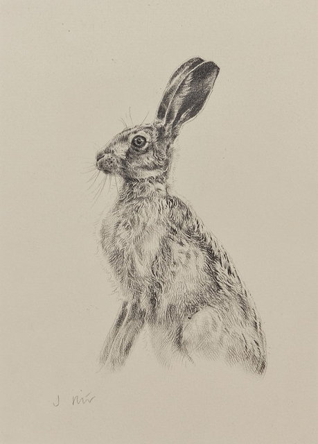 Appraisal: Jonathan Pointer b Brown Hare signed titled and dated verso