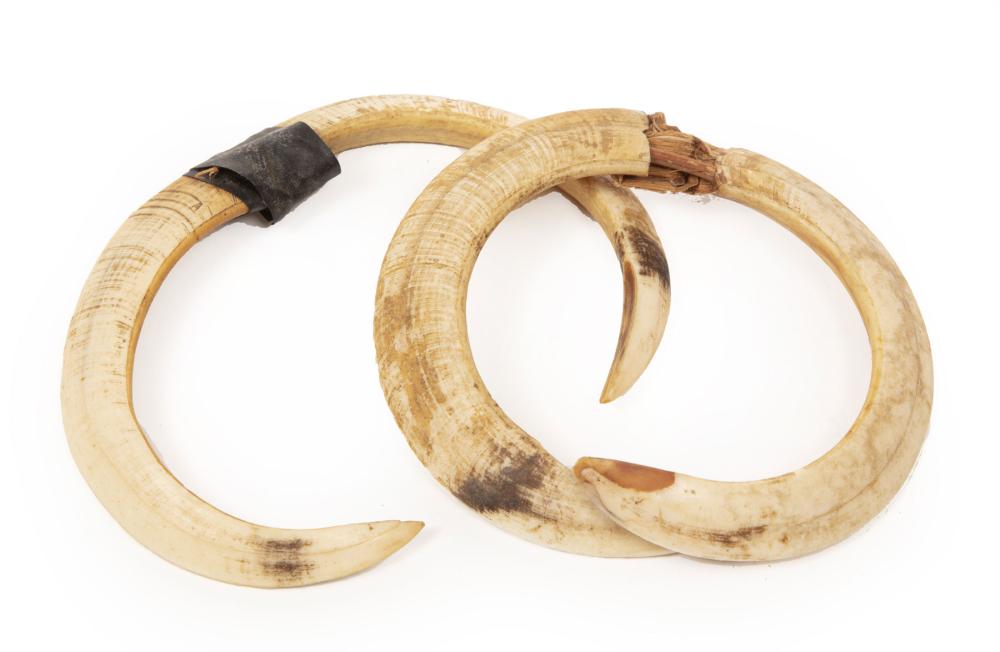 Appraisal: Two Oceanic Asmat Boar's Tusk Nose Pieces Irian Jaya Indonesia