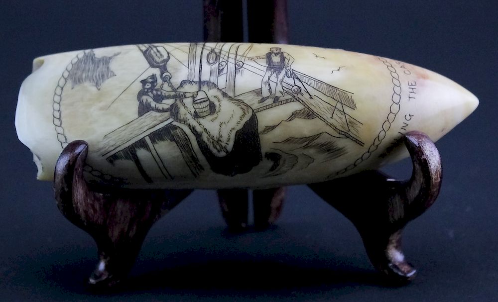 Appraisal: VTG Scrimshaw Carved Bailing The Case Whale Tooth Vintage carved