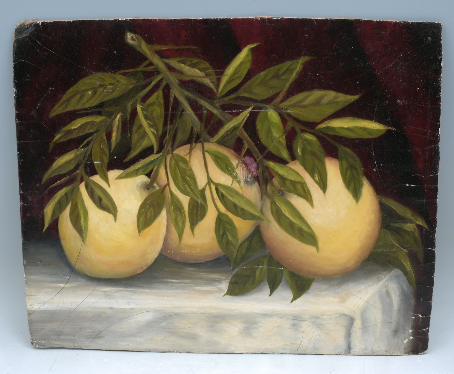 Appraisal: TH CENTURY FLORIDA PAINTING OF GRAPEFRUIT Oil Board '' x