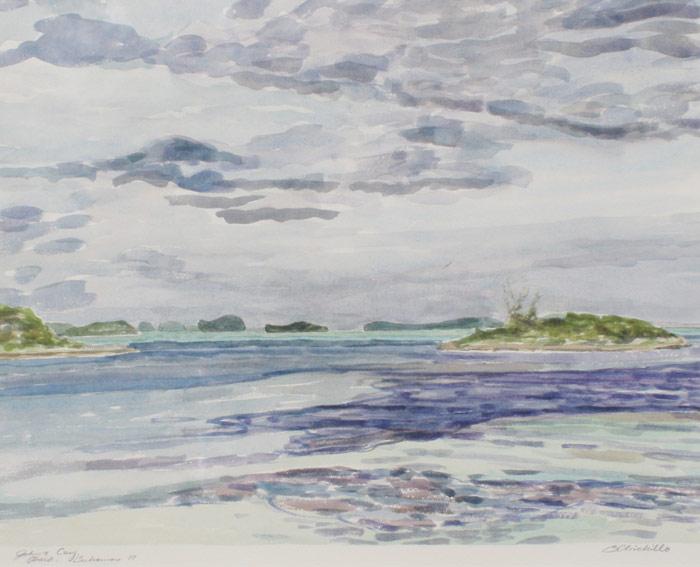 Appraisal: JOHN'S CAY ABACO BAHAMAS WATERCOLOR SIGNED B CHICHILLO Sight size