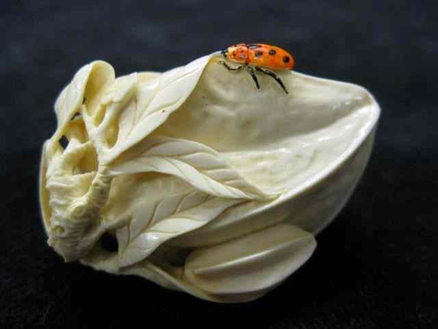 Appraisal: Carved Ivory Netsuke of Ladybug on apea pod fine detail