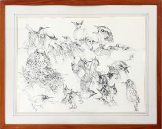 Appraisal: NORMAN BRUMM INK DRAWING YOUNG BIRDS NORMAN BRUMM INK DRAWING