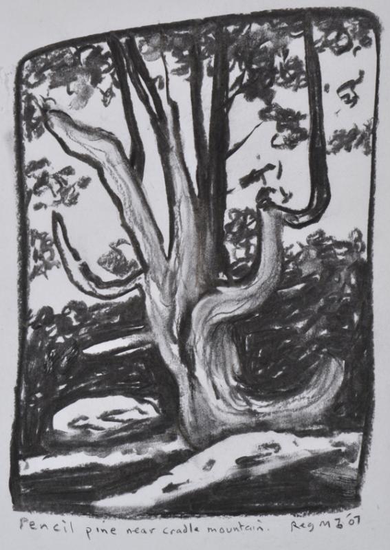 Appraisal: REG MOMBASSA BORN Pencil Pine near Cradle Mountain charcoal REG