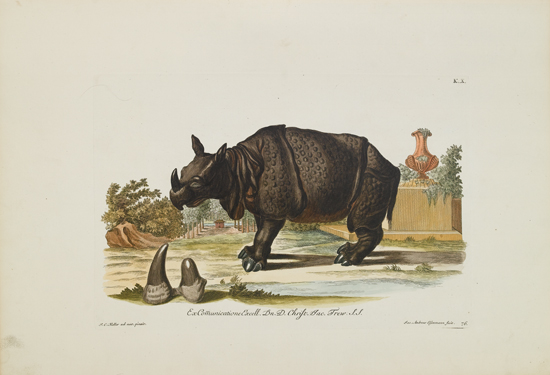 Appraisal: ANIMALS Knorr Georg Wolfgang Group of better hand-colored plates of