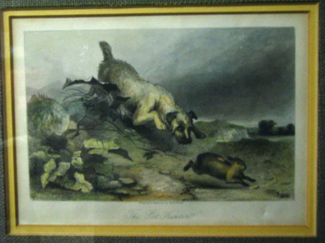 Appraisal: Lot of five similarly framed decorative prints all depicting canines