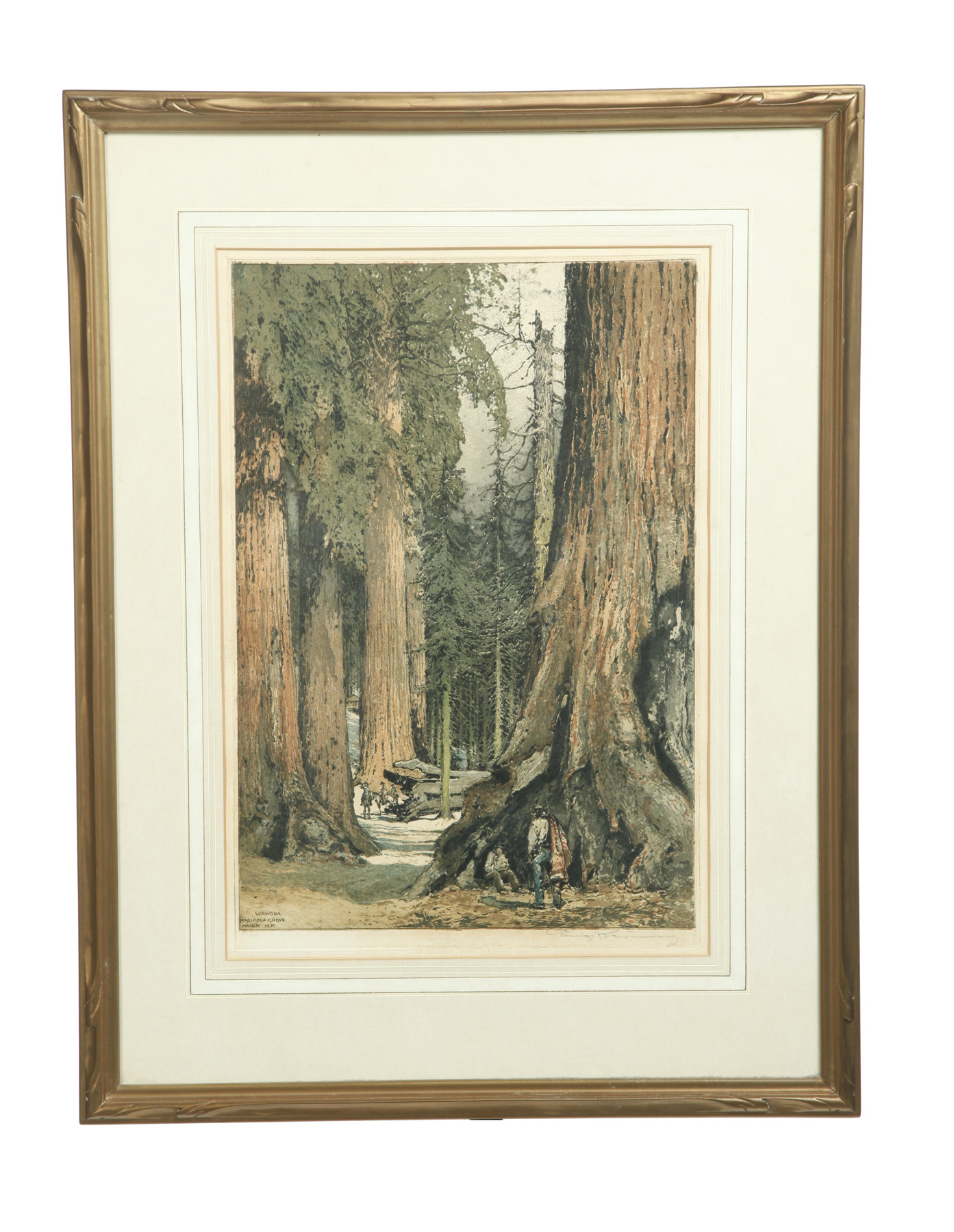 Appraisal: COLORED ETCHING LUIGI KASIMIR RUSSIA CALIFORNIA - Wawona Mariposa Grove