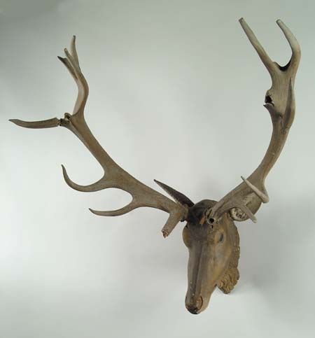 Appraisal: CARVED WOOD STAG HEAD TROPHY MOUNT Painted and carved head