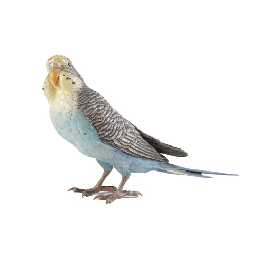 Appraisal: A cold painted bronze sculpture of a budgerigar c cm