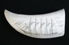 Appraisal: WHALE'S TOOTH - Scrimshawn whale's tooth depicting Schooner Gov Ames