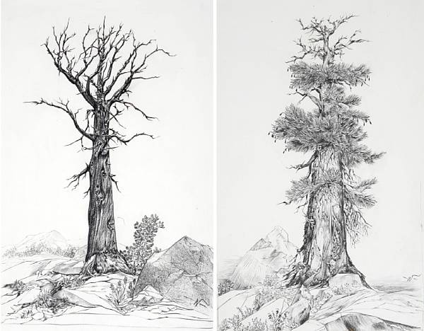 Appraisal: John William Winkler American - Trees in the Sierras a