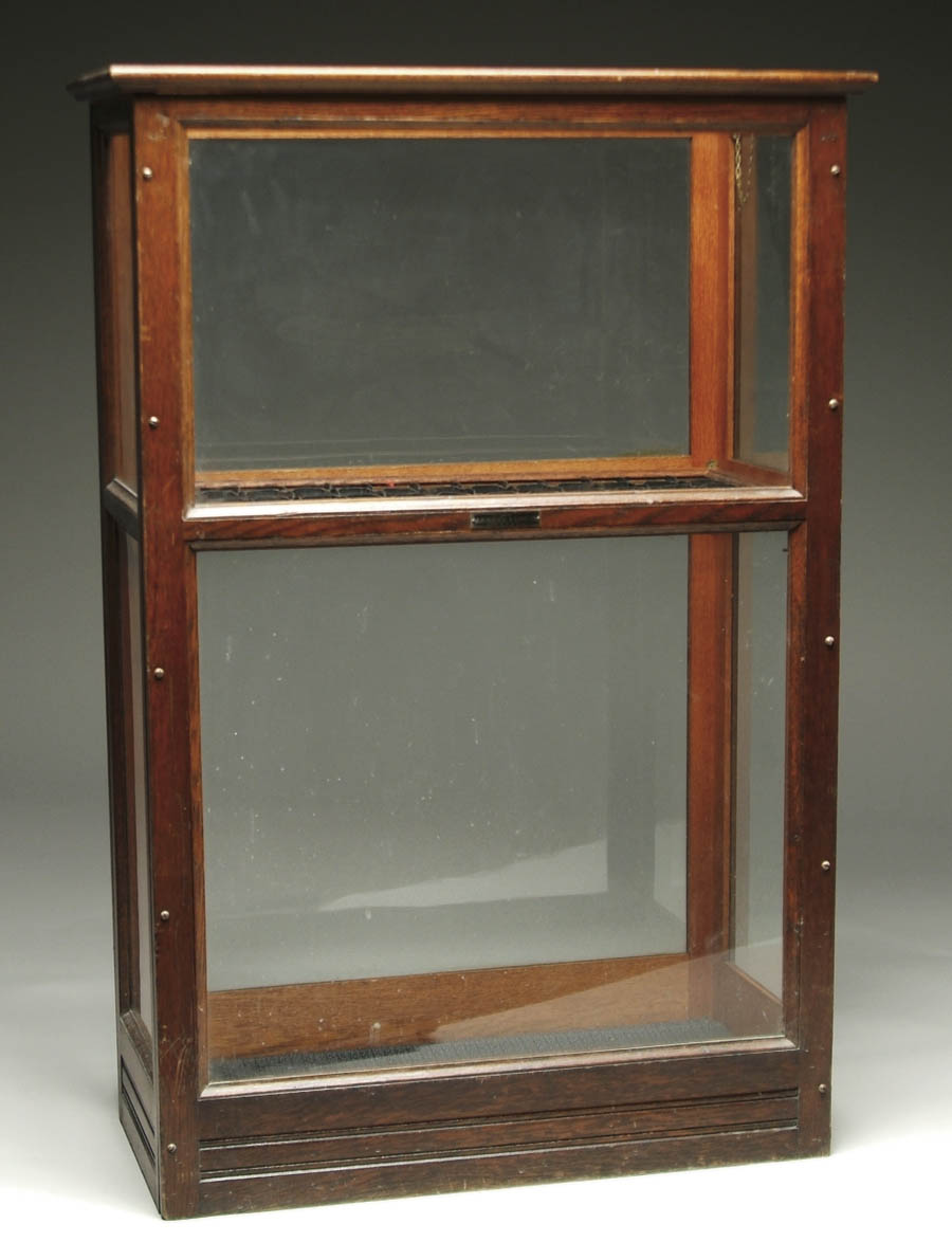 Appraisal: TALL OAK LIFT TOP GLASS CANE CASE Rectangular form case