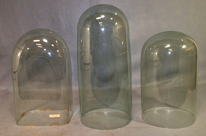 Appraisal: blown glass domes one rectangular x x round d x