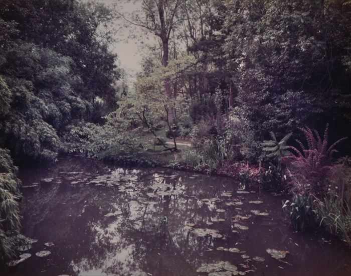 Appraisal: STEPHEN SHORE b GIVERNY LILY POND Cibachrome print x in