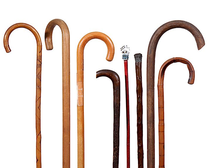 Appraisal: CANES CANES AN ASSORTED GROUP OF SEVEN CANES AND ONE