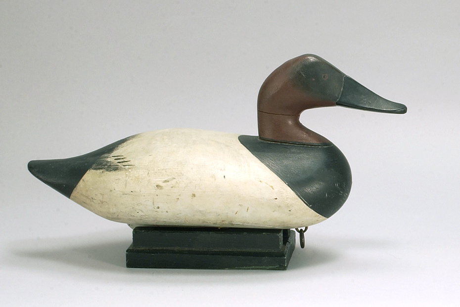 Appraisal: CANVASBACK DRAKE DECOY By Madison Mitchell of Havre de Grace