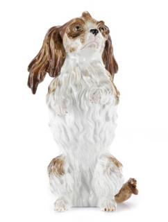 Appraisal: Meissen Porcelain K ndler Bolognese Dog Figurine Meissen German founded