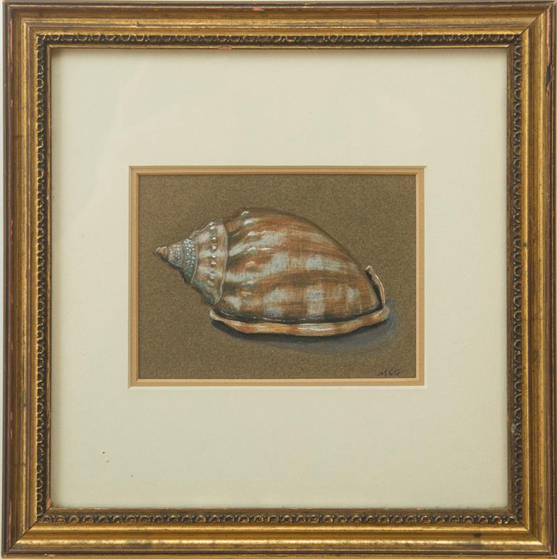 Appraisal: MARY C GREENWAY STUDY OF A SHELL Pastel on brown