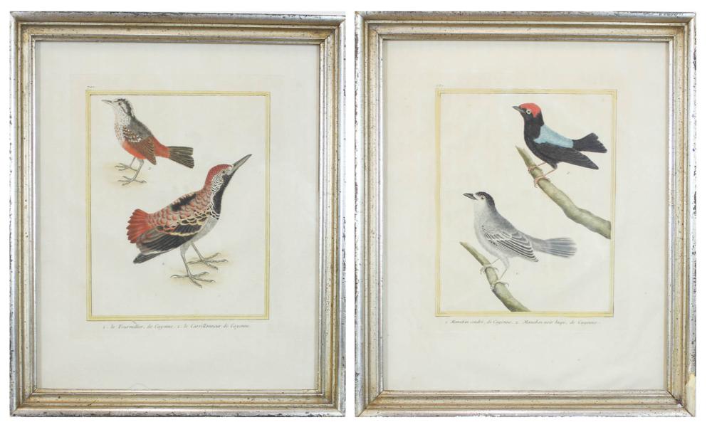 Appraisal: FRANCOIS-NICOLAS MARTINET France - two hand colored etchings birds Le