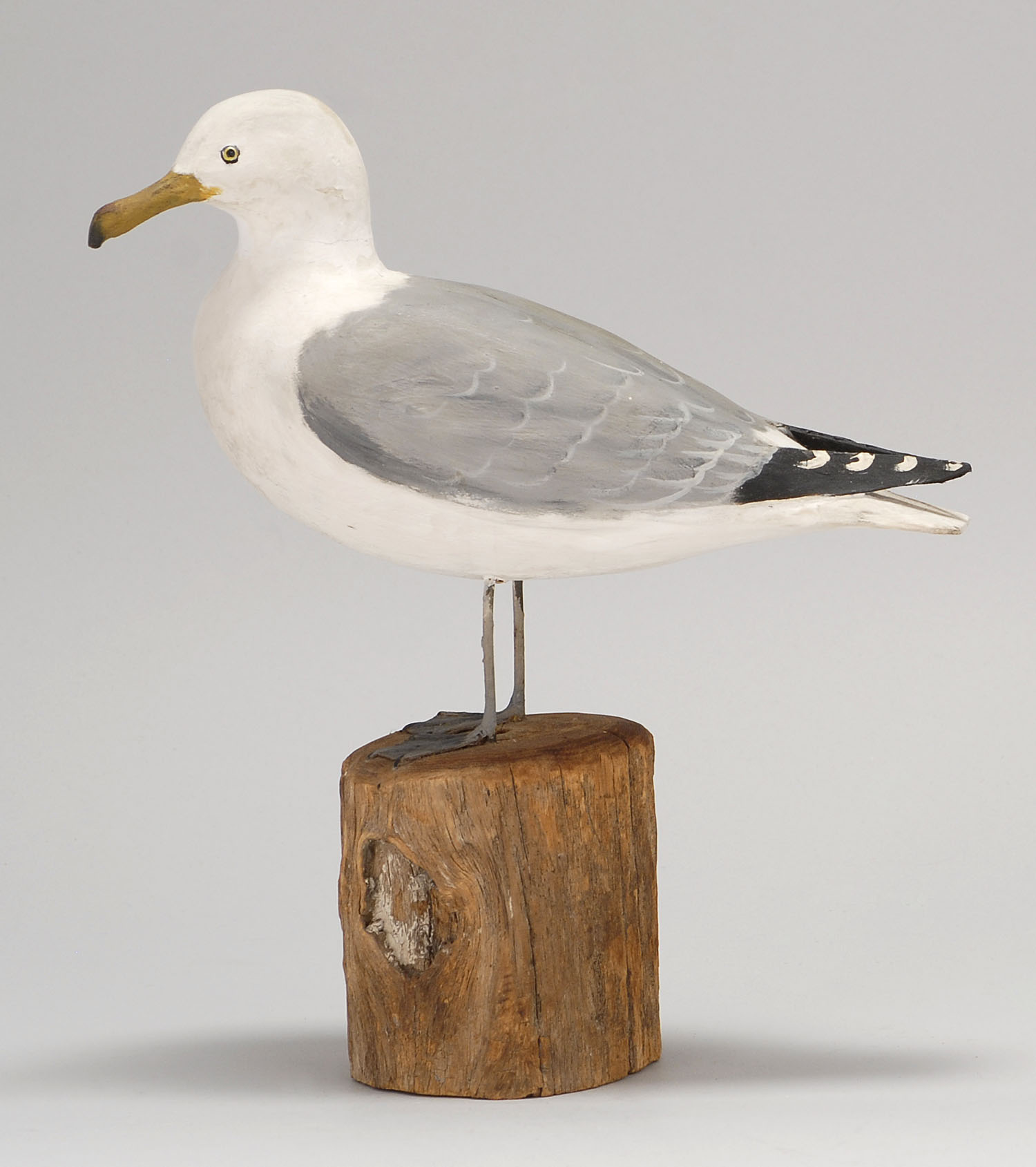 Appraisal: LIFE-SIZE HERRING GULL By Peter Peltz of East Sandwich Massachusetts