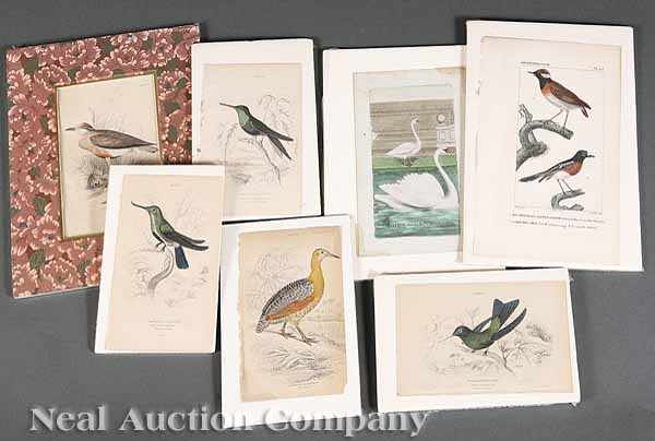 Appraisal: A Group of More Than Hand-Colored Natural History Prints th