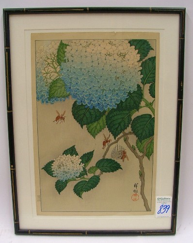 Appraisal: JAPANESE COLOR WOODCUT Shosan Kosan Ohara - blue hydrangeas with