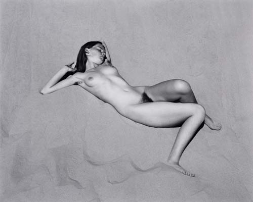 Appraisal: WESTON EDWARD - WESTON COLE - Nude N Silver print