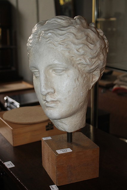 Appraisal: A CLASSICAL PLASTER HEAD on an oak plinth cm high