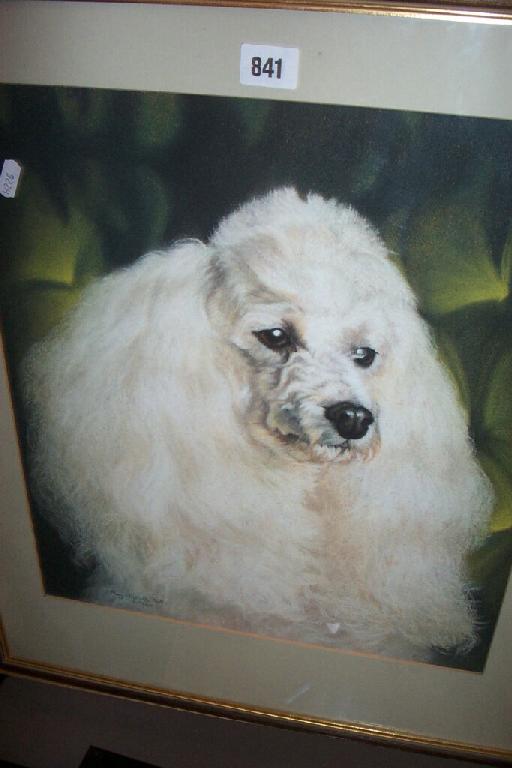 Appraisal: A pastel portrait of a white poodle signed bottom right