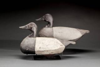 Appraisal: Canvasback Pair Edward R Ned Burgess - Waterlily Churches Island