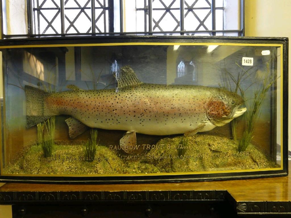 Appraisal: A bow fronted glazed case containing a stuffed and mounted