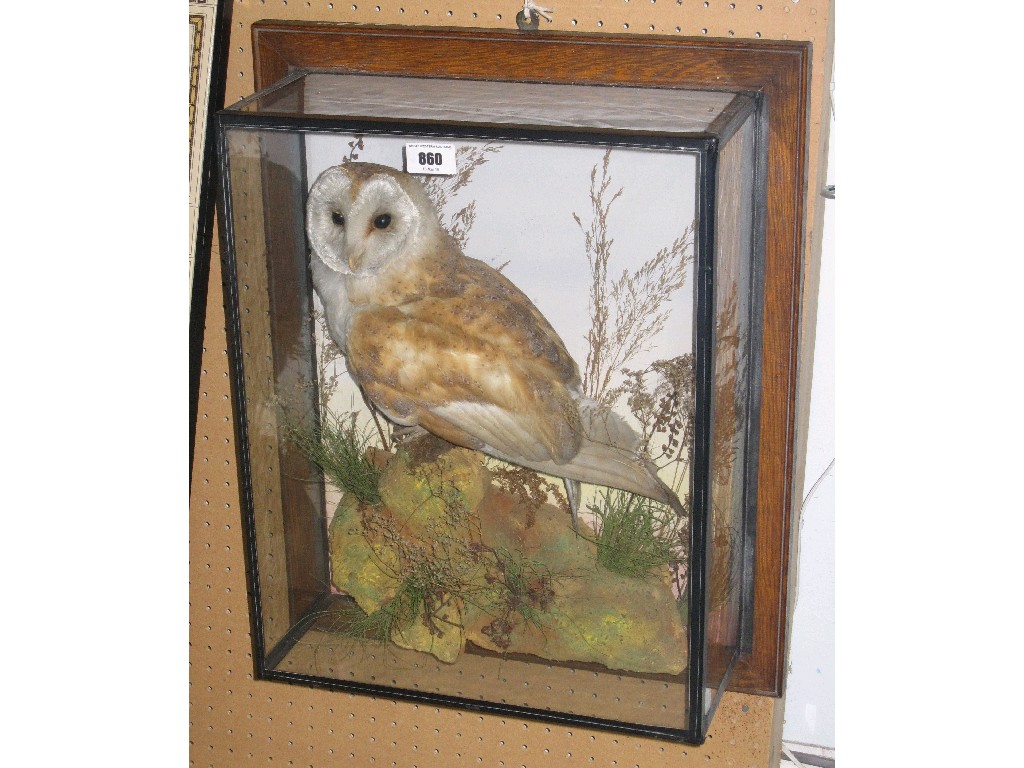 Appraisal: Taxidermy of an owl in naturalistic setting in glass case