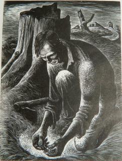 Appraisal: Lynd Ward wood engraving Lynd Ward American - - ''Seedling''-