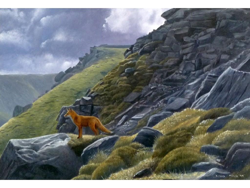 Appraisal: DAVID MILLER b OIL PAINTING ON BOARD 'A Fox on