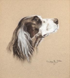 Appraisal: Franklyn H Stokes th Century English Setter Rod Franklyn H