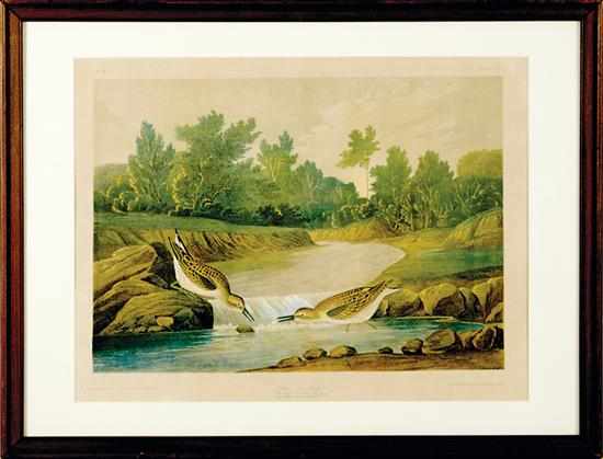 Appraisal: John James Audubon after New York - THREE WORKS PINE