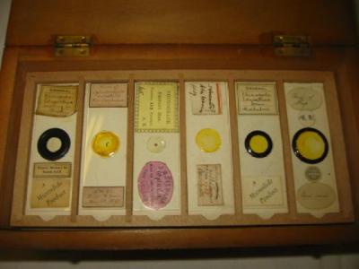 Appraisal: THREE BOXES OF GLASS MICROSCOPE SLIDES each labelled including Phloretin