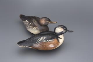 Appraisal: Hooded Merganser Pair Jim Schmiedlin Hooded Merganser Pair Jim Schmiedlin