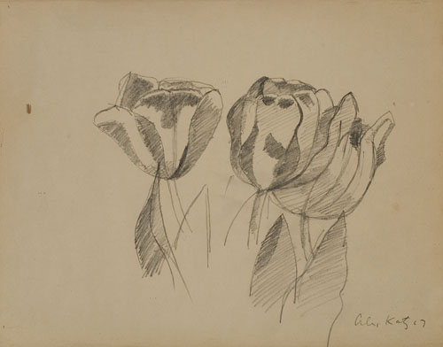 Appraisal: ALEX KATZ Tulips Pencil on cream wove paper x mm